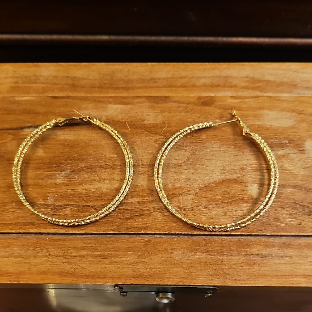 Elegant Gold Hoop Earrings